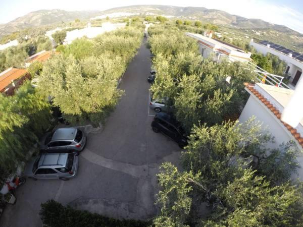 Residence Adriatico マッティナータ エクステリア 写真